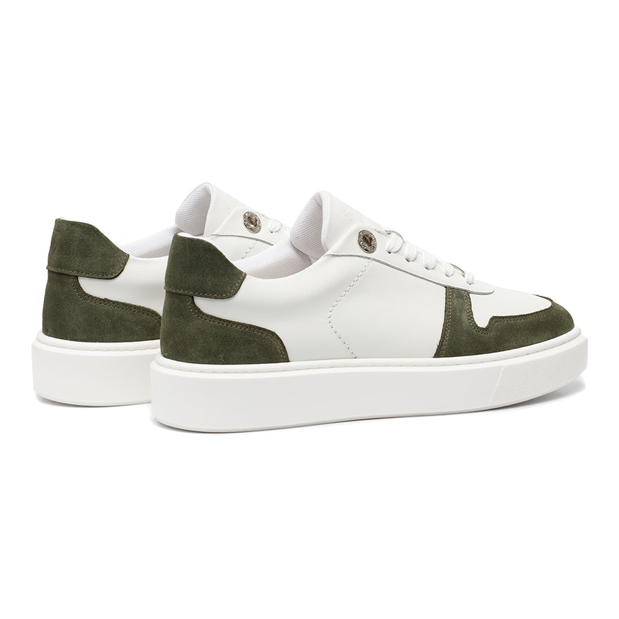 Sail Olive 